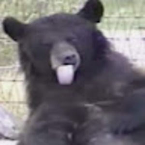 Meet your Posher, Katrina